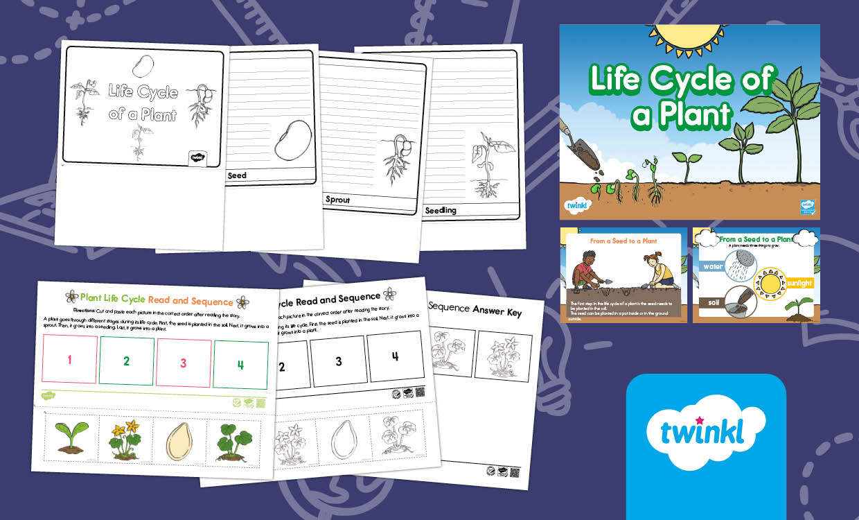 Life Cycle of a Plant Flip Book and Powerpoint for K-2nd Grade
