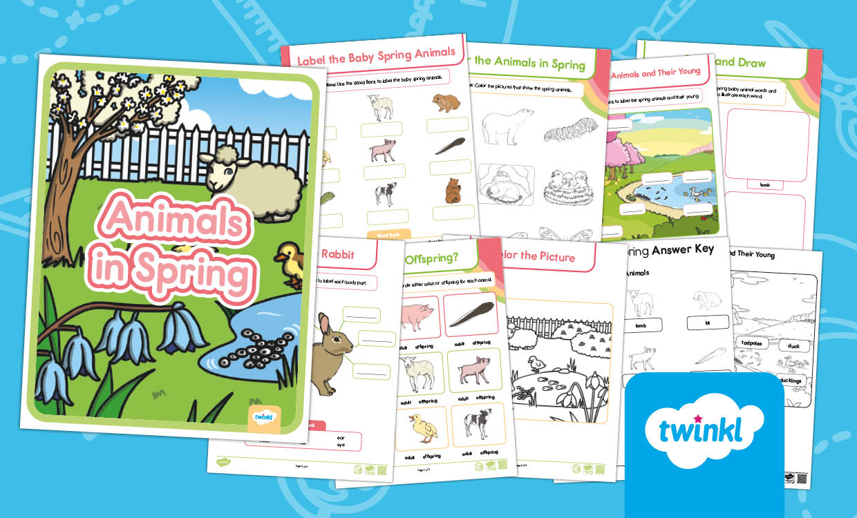 Animals in Spring Activity Booklet for PK-K
