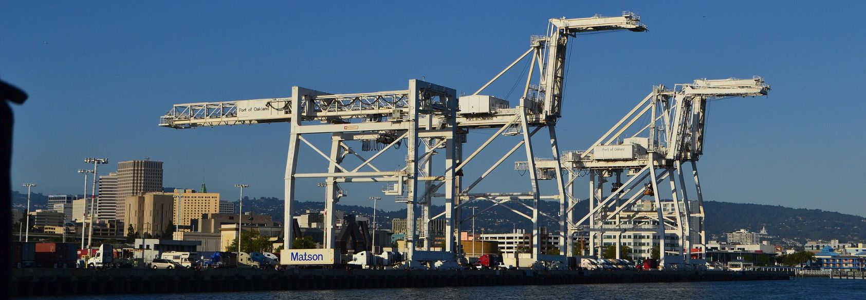 How Businesses Are Dealing with the Impacts of Tariffs