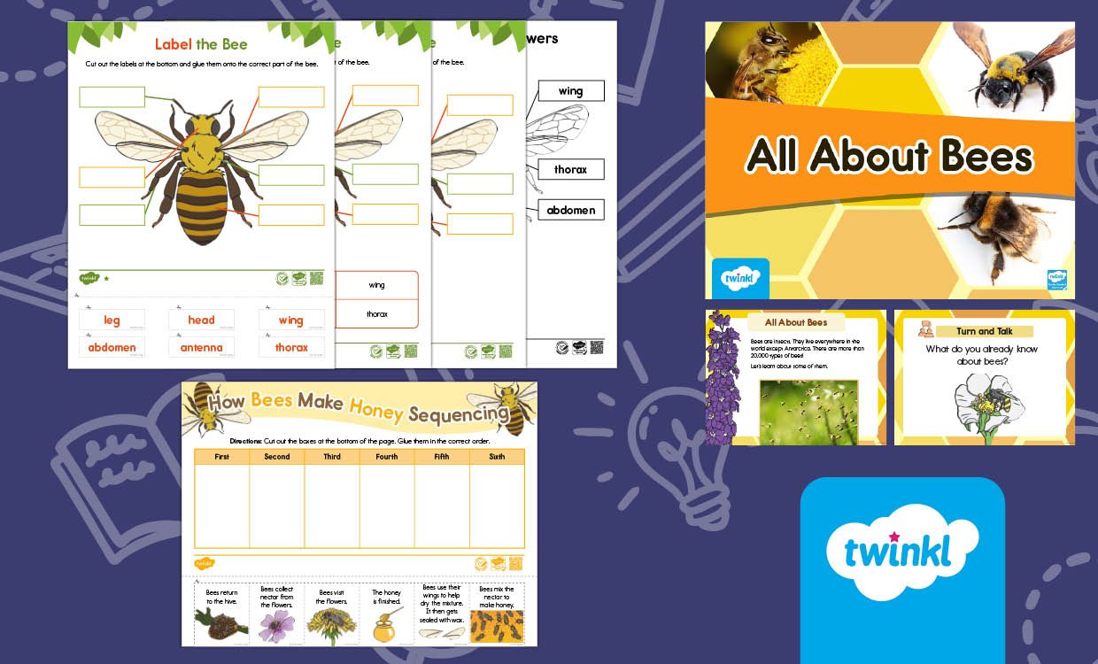 All About Bees Lesson for K-2nd Grade