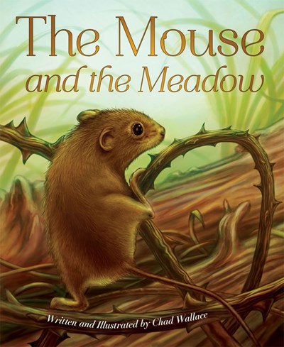Mouse and the Meadow Activity