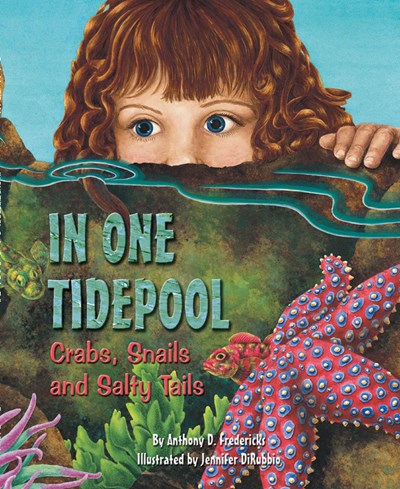 In One Tidepool Activity