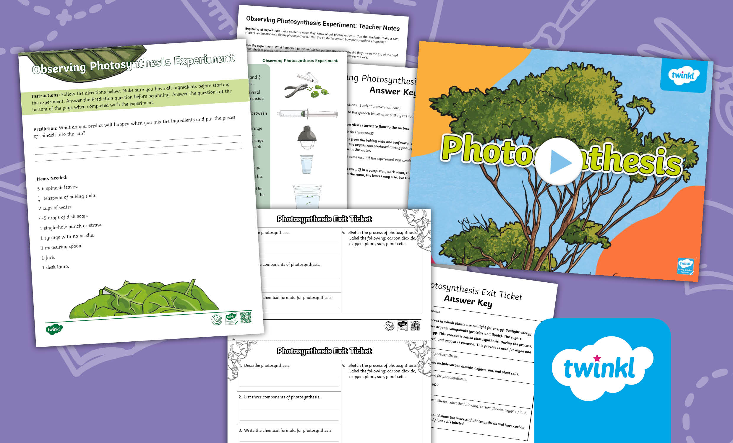Photosynthesis Lesson pack for 6th-8th Grade