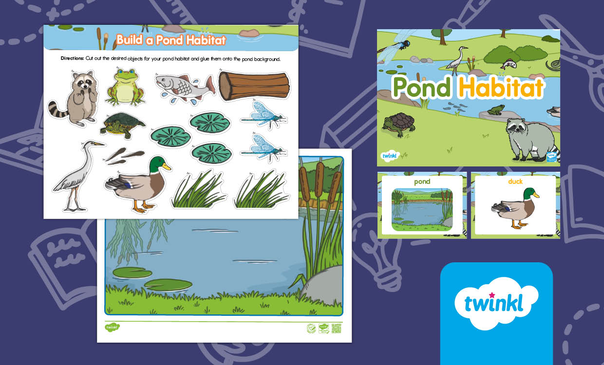 Pond Habitat Vocabulary & Activity Pack for Early Childhood 