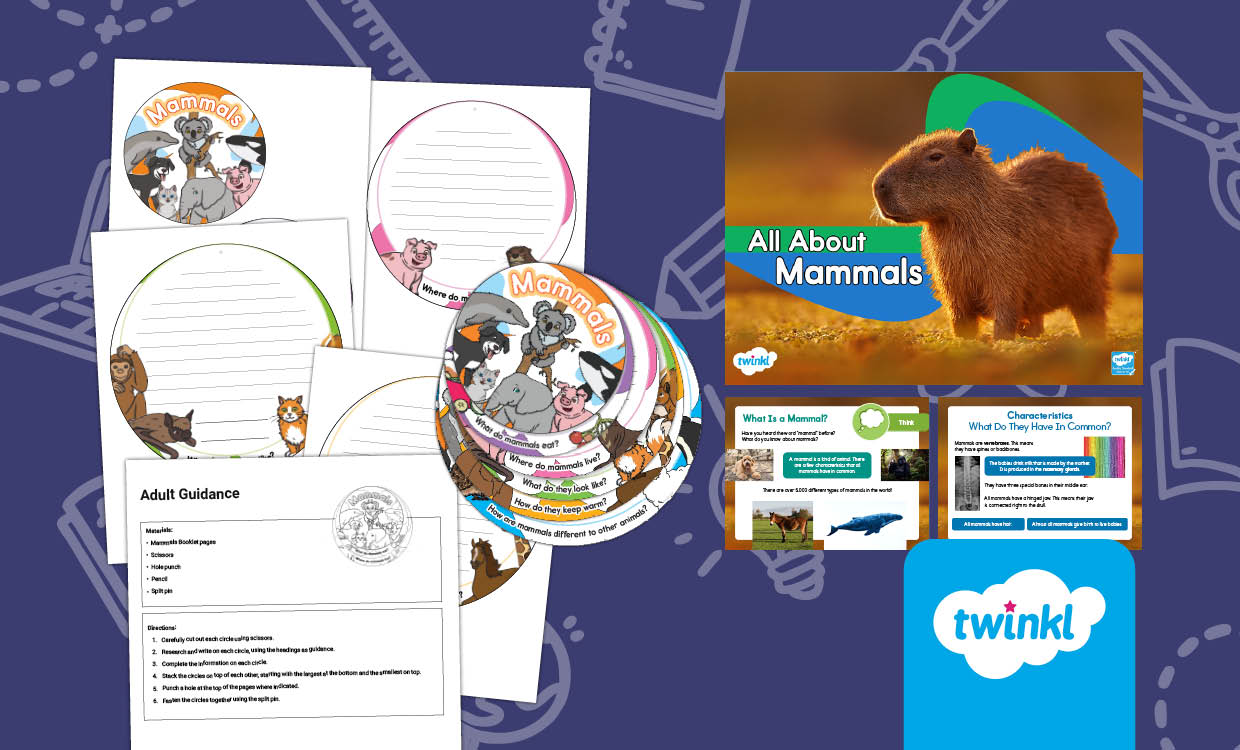 All About Mammals Lesson for K-2nd Grade: Powerpoint and Circle Booklet