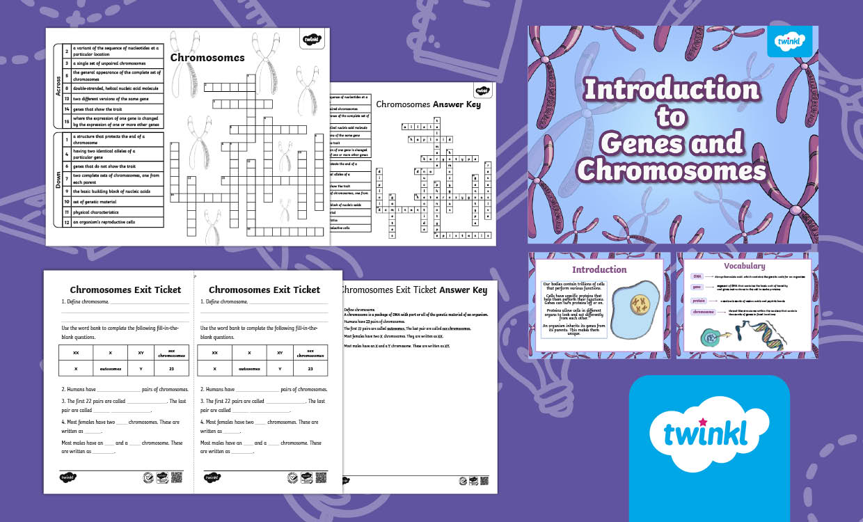 Genes and Chromosomes Lesson Pack for 6th-8th Grade