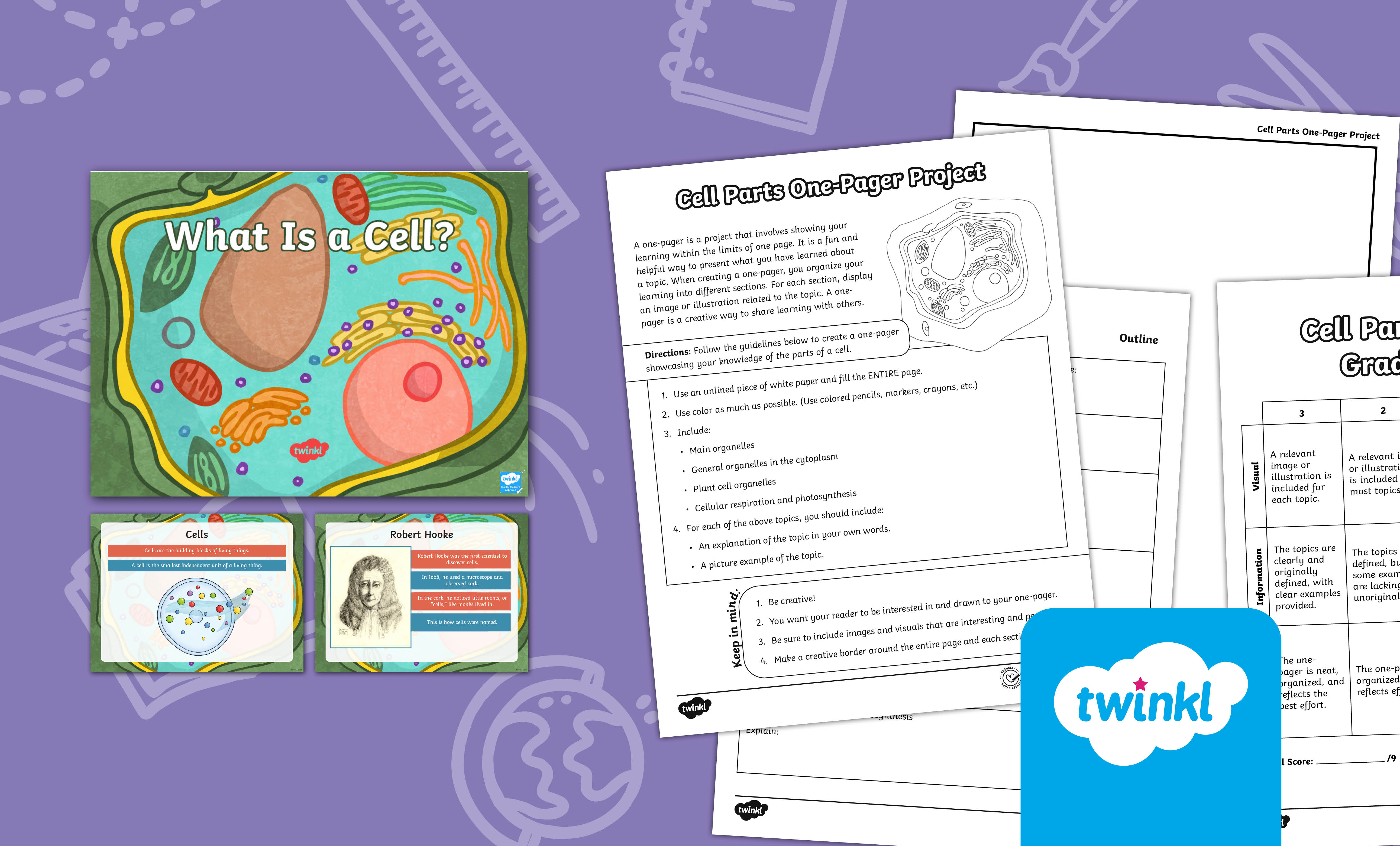 Let's Explore Cells Lesson bundle for 6th-8th Grade