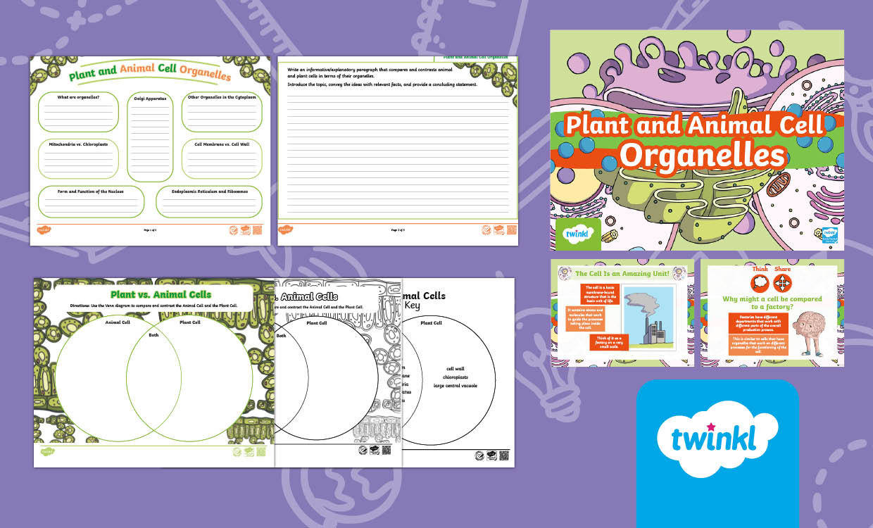 Cell Organelles lesson for 6th-8th Grade
