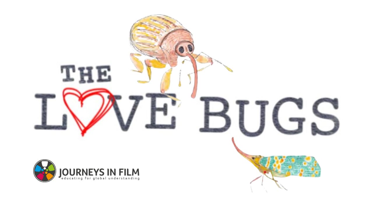 Let's Make a Bug Kite! Art Activity