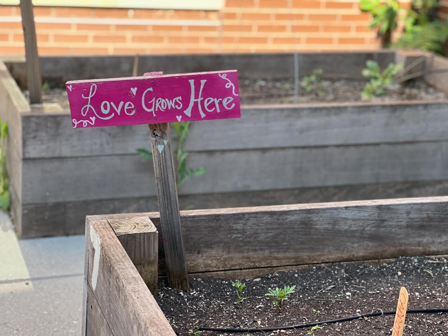 love grows here sign