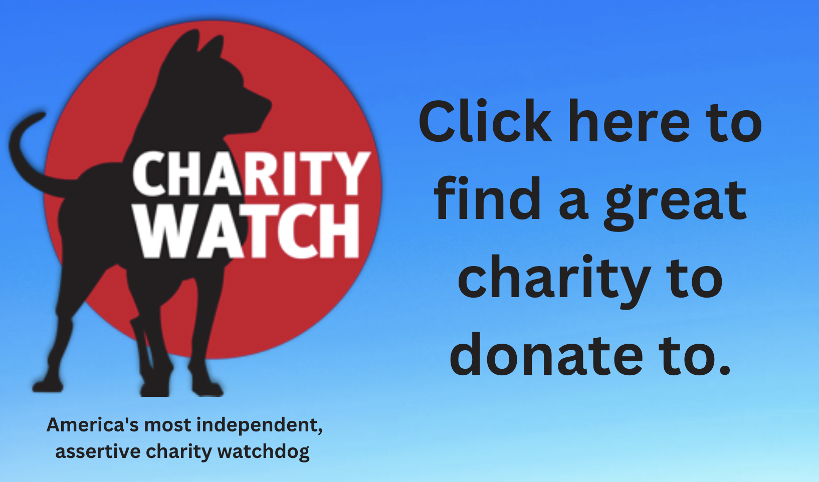 charity watchdog