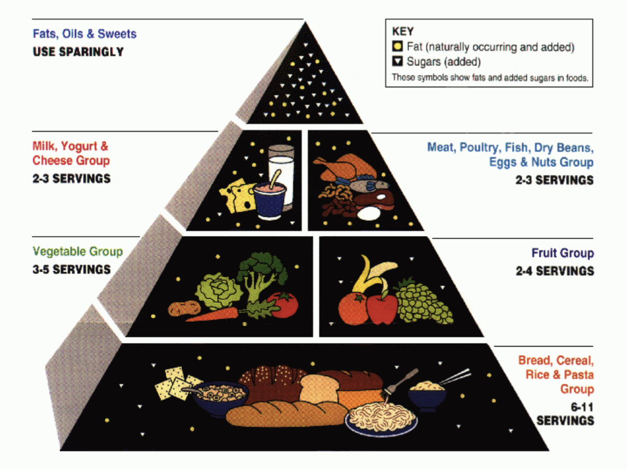 1992 food pyramid