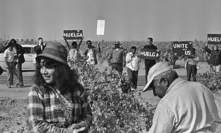 Black-and-white archival photo of the 1965 Delano grape strike. Two farmworkers work in a vineyard in the foreground while a line of strikers stands along the road behind them holding signs reading "Huelga" (Spanish for strike) and "Unite With Us."