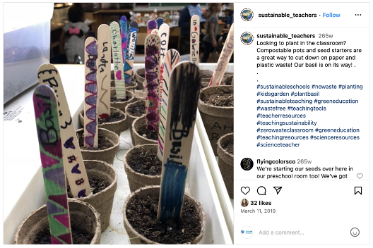 class plants project eco-friendly