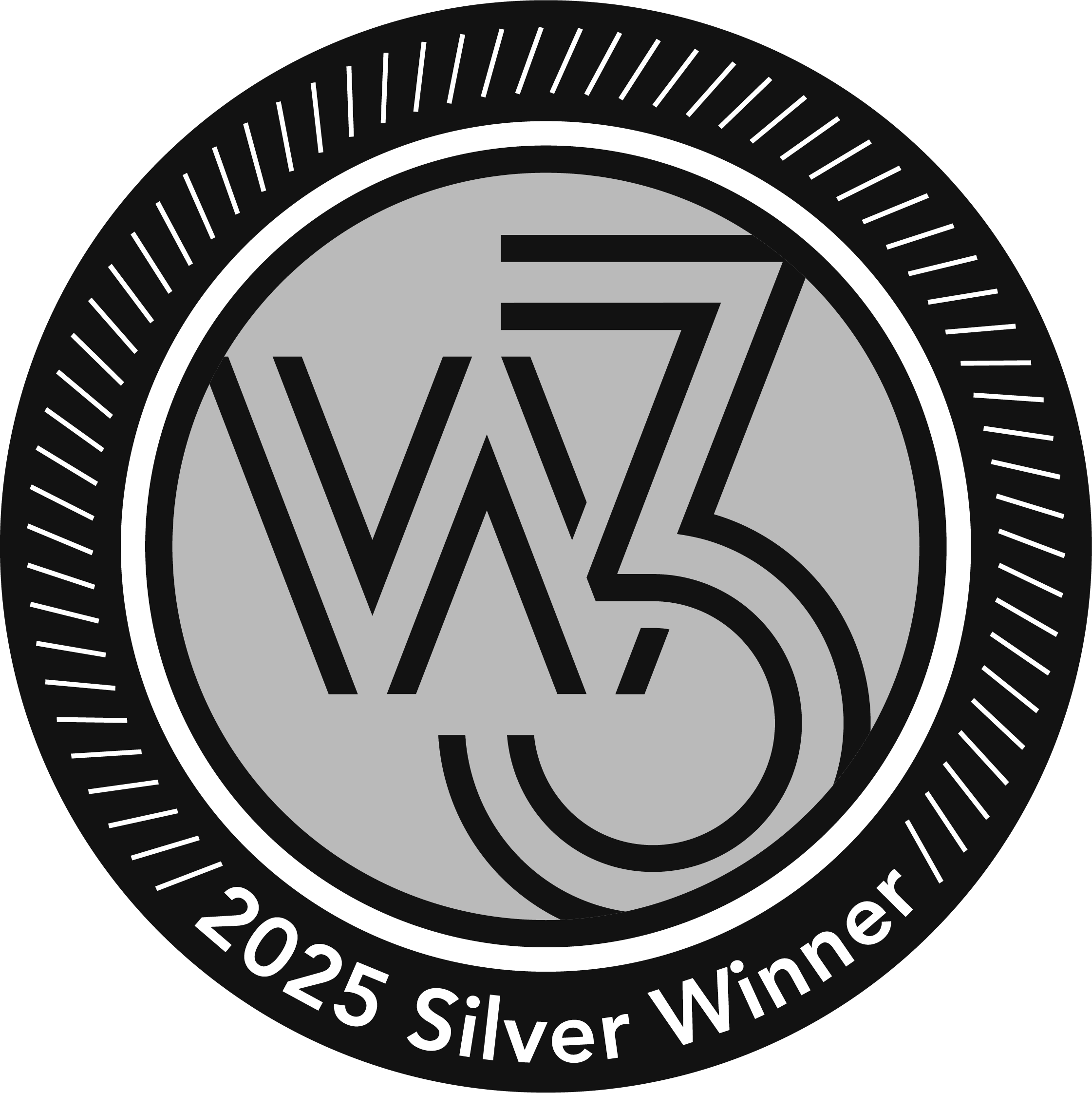 2025 silver winner w3