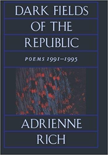 Dark Fields of the Republic book cover