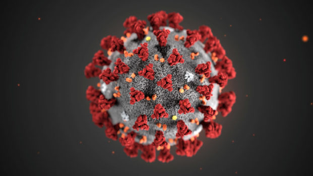 coronavirus update: up close look at the virus