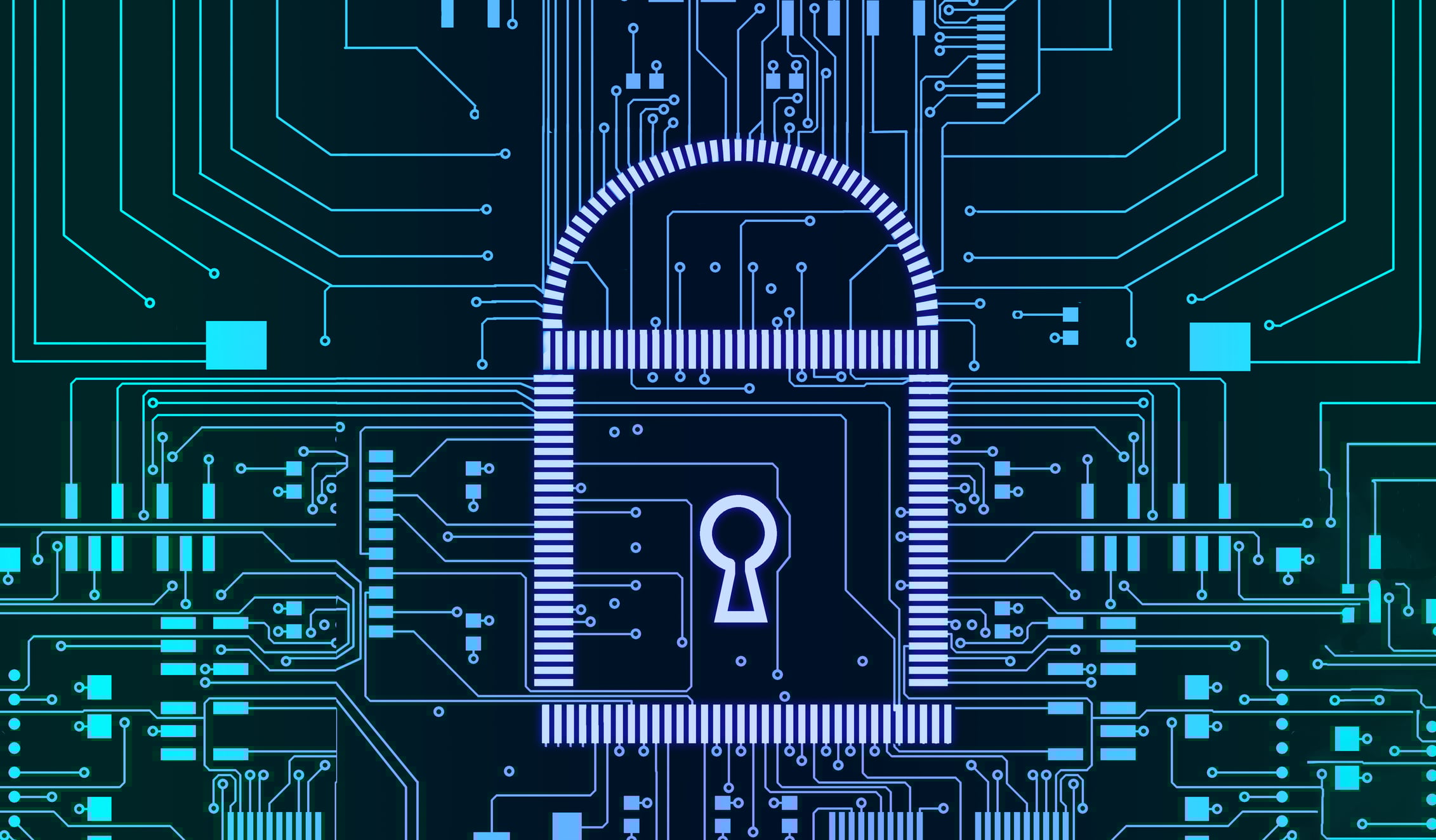 Computer Security Basics Lesson Plan For Middle School