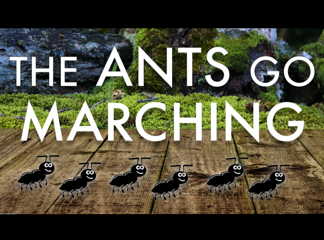 Practice counting with the Ants Go Marching