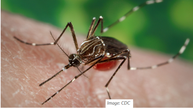 Biodiversity and Disease