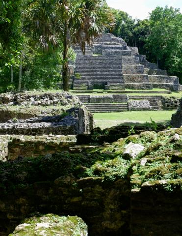 Maya Studies Project Starters