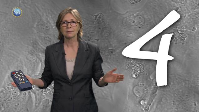 4 awesome discoveries you probably didn't hear about this week -- Ep. 2