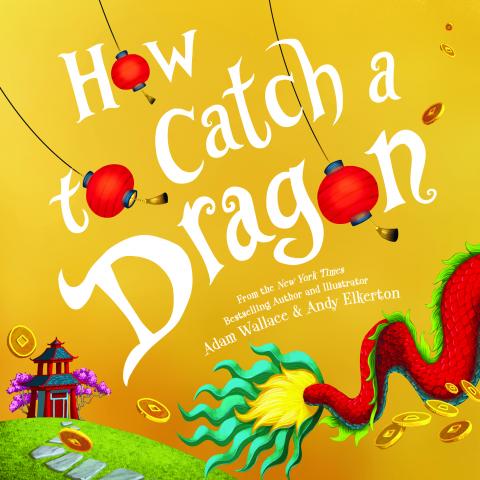 How to Catch a Dragon Activity Kit