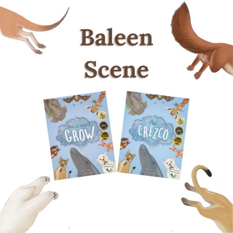 Baleen Scene Activity from This Is How I Grow
