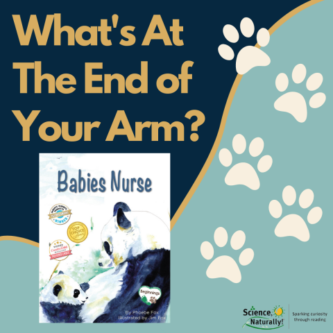 What's At The End Of Your Arm? from "Babies Nurse"
