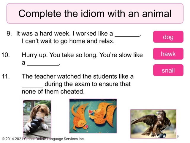 Idioms That Use Animal Vocabulary - Free ESL Download by Off2Class
