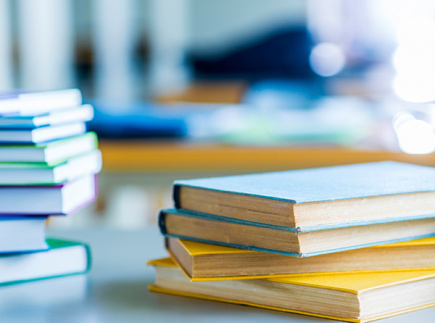 How & why to make a Booksnaps using SeeSaw with template For Parents and Teachers during social isolation