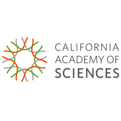 Dive into Immersive Environmental Content