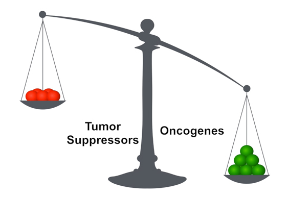 Chemotherapy Resistance: The Fault in Our Cells