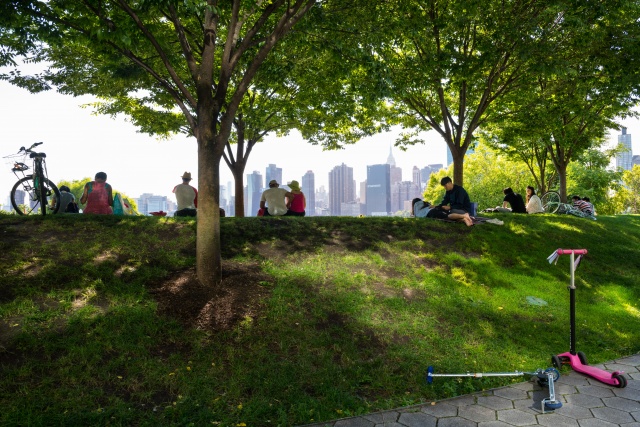 Sustainable Cities: Nature-based Solutions in Urban Design