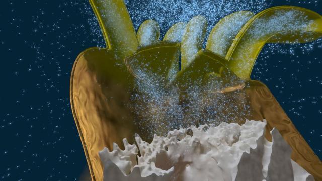 Video: How Do Corals Build Reefs?