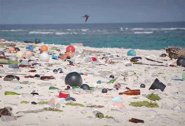 Healthy Oceans: Preventing Plastic Pollution
