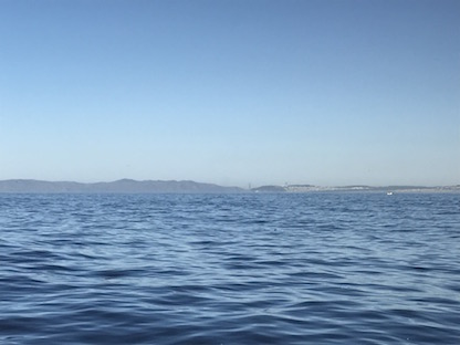 Lesson Plan: A Carbon Molecule's Journey