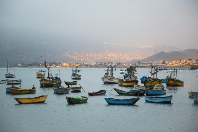 Fishing for a Future