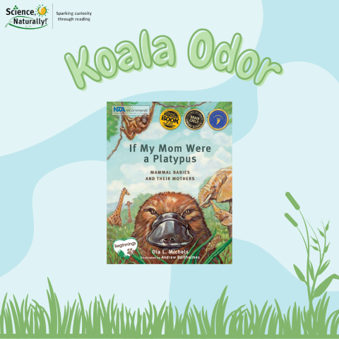 Koala Odor from "If My Mom Were a Platypus"