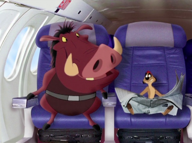 Why does an airplane fly?