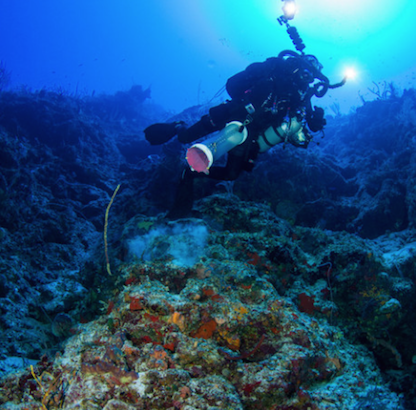 Earth's Water: A Drop in Your Cup