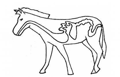 Ruminating on the Digestive System