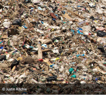 Packaging Watch Card