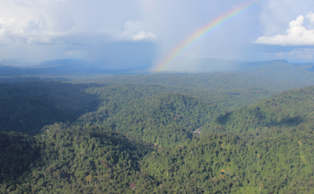 Lesson Plan: Build a Borneo Glider