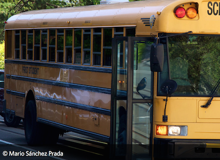 Lesson Plan: Greening Your Elementary School