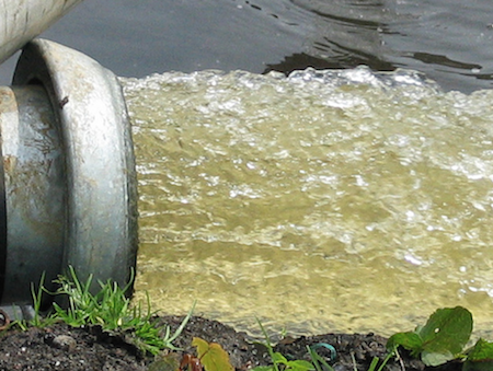 Pollution in Our Watershed