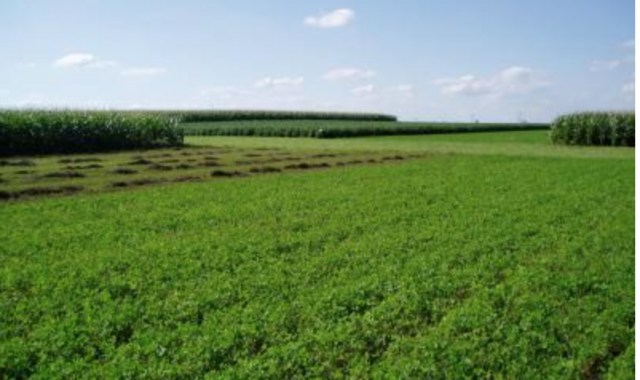 Lesson Plan: Pesticide Watch Card