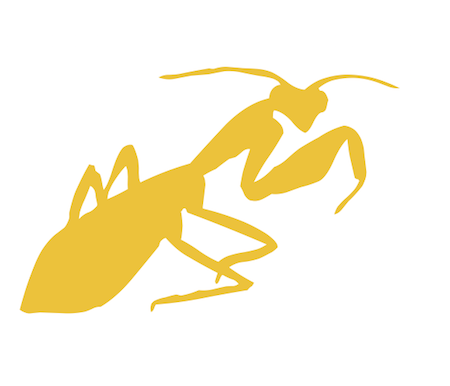 Anytime Lesson Plan: Go Bug!