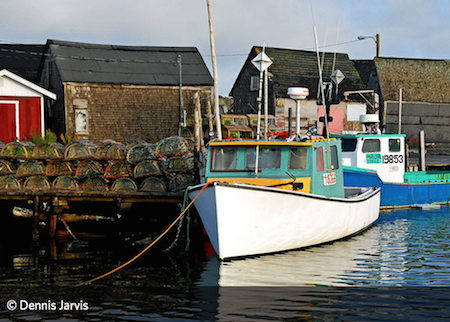 Lesson Plan: Banishing Bycatch