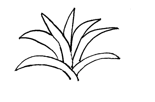 Plants: Hanging Tough